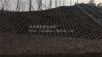 西安市长安区博艺彩色水泥制品厂
